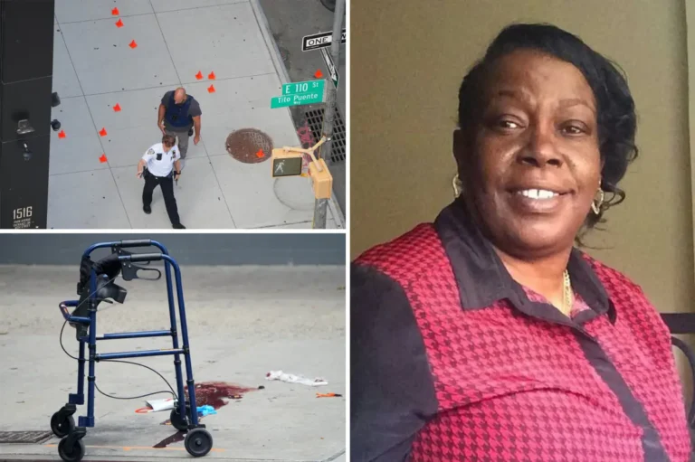 69-Year-Old Grandmother Dies After Being Injured in East Harlem Incident: NYPD 110181312