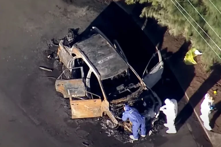 Man Arrested in Brutal Killing of Woman Found in Vehicle 44401674341b7d3a3a7011834273c337