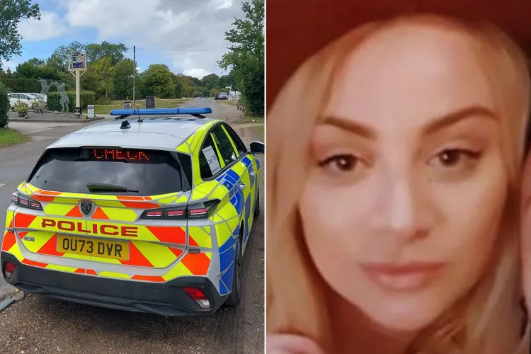 missing amy 090225 3 bd5d6e45b97642318869e882d54f56ac (1)